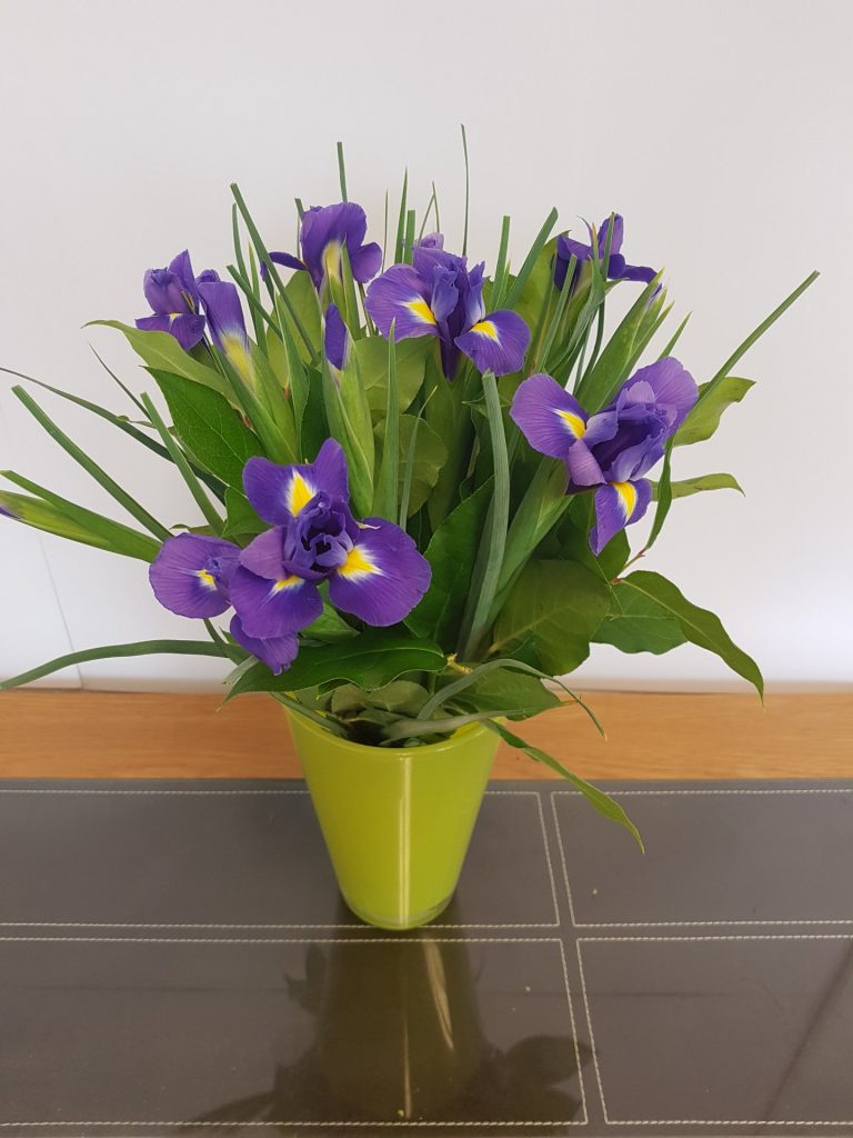 Fully Iris